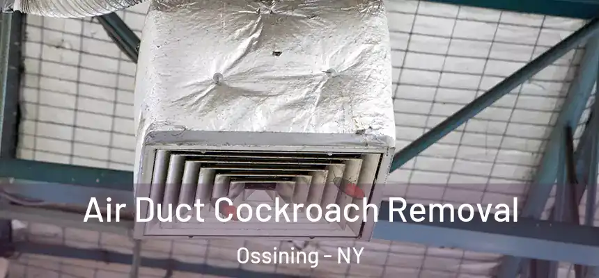 Air Duct Cockroach Removal Ossining - NY