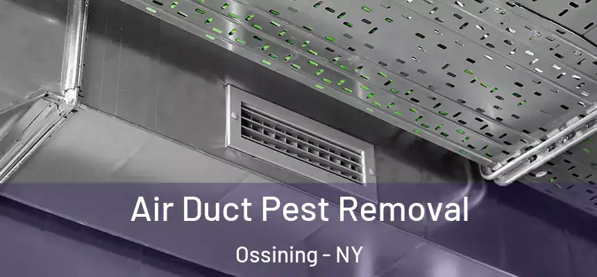  Air Duct Pest Removal Ossining - NY