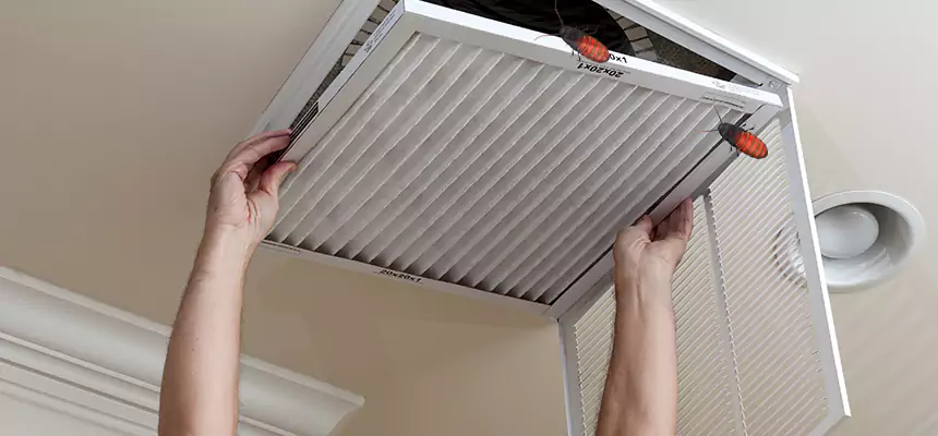 Preventive Cockroach-Proofing for Ducts in Ossining