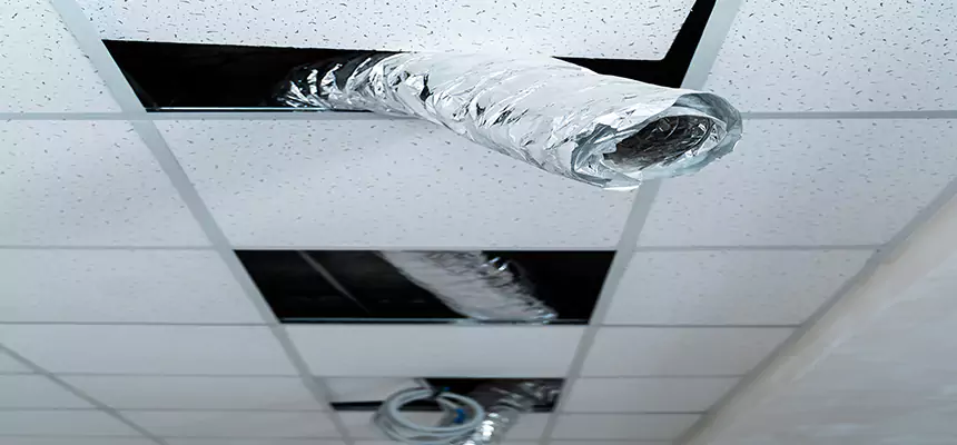 Affordable HVAC Sanitizing After Pest Removal in Ossining