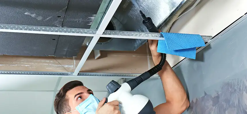 Our Air Duct Rodent Removal Services in Ossining, NY