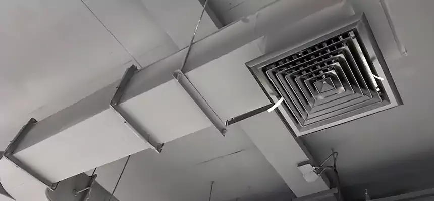 Restorative Allergy Relief Vent Cleaning – Coil, Blower & Housing Detail in Ossining