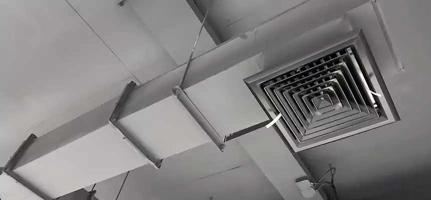 Our Rodent Droppings In Vents Services in Ossining, NY