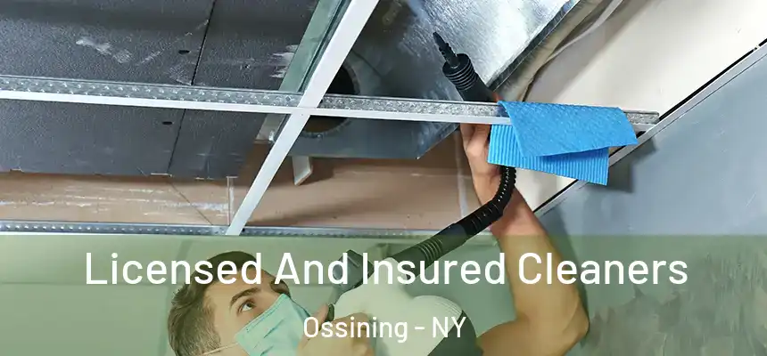  Licensed And Insured Cleaners Ossining - NY