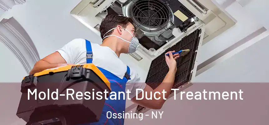  Mold-Resistant Duct Treatment Ossining - NY