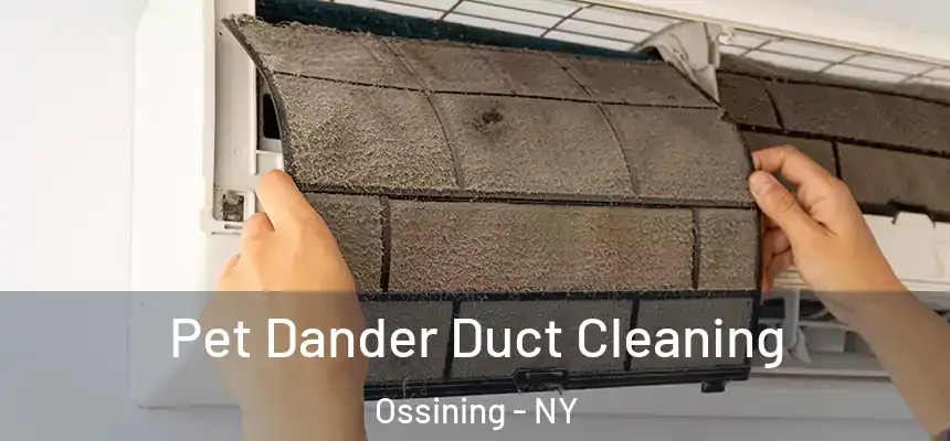  Pet Dander Duct Cleaning Ossining - NY