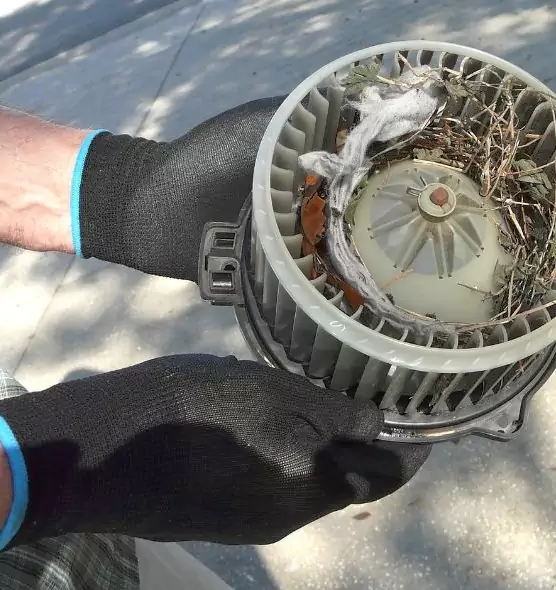 About Air Duct Mice Removal in Ossining, NY