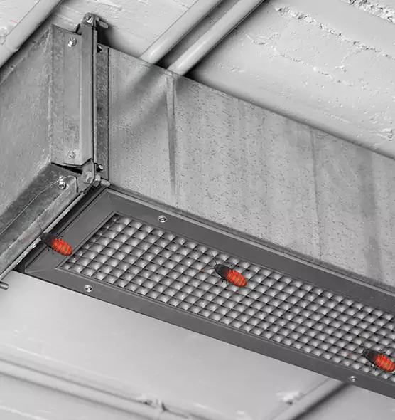 Affordable Insect Removal from Air Ducts in Ossining, NY