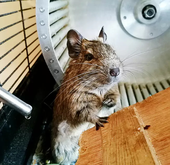 Why Homeowners & Businesses Trust Us Ossining, NY?